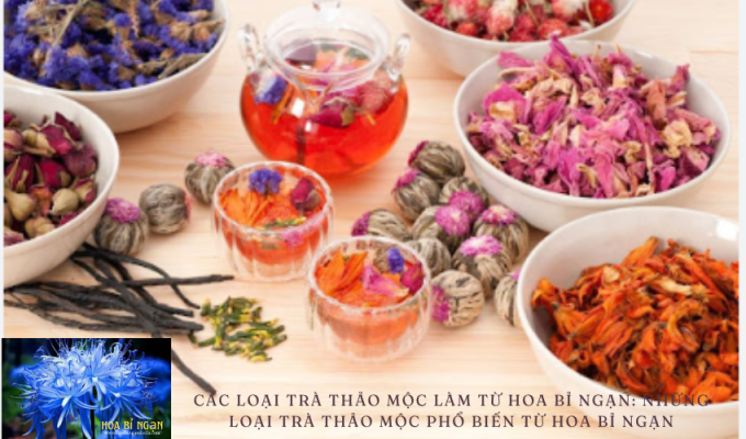 Các loại trà thảo mộc làm từ hoa bỉ ngạn: Những loại trà thảo mộc phổ biến từ hoa bỉ ngạn